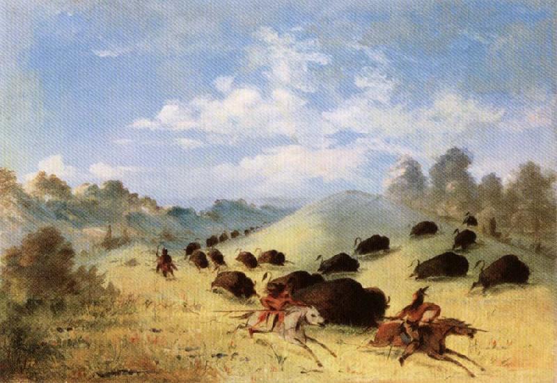 George Catlin Comanche Indians Chasing Buffalo with Lances and Bows oil painting picture